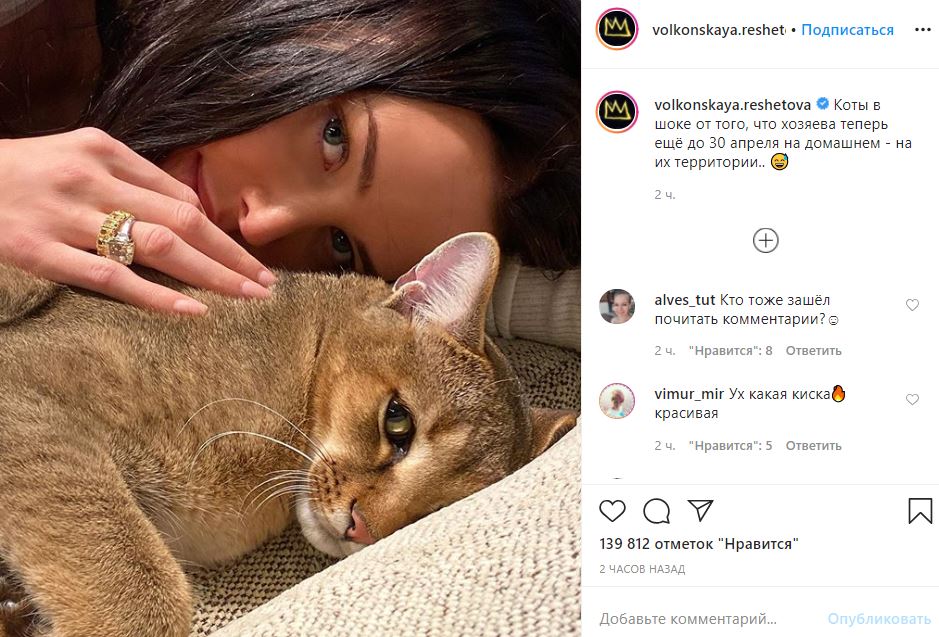Анастасия Решетова удивила подписчиков селфи с «шокированным» котом