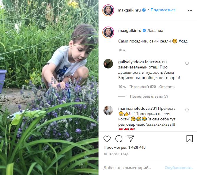 Гарри Галкин посадил «магическую» лаванду в саду Пугачевой. Процесс снимала Лиза-блогерша